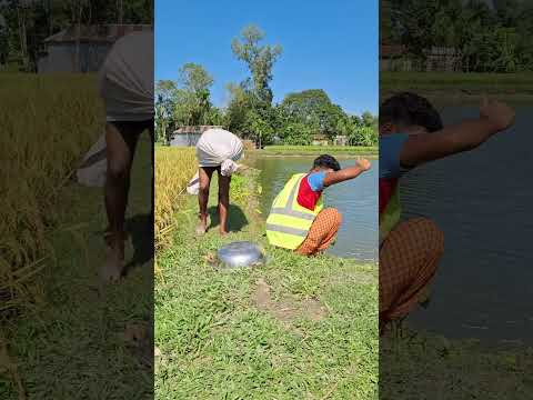 Suddenly the pot made a rattling sound from below.58