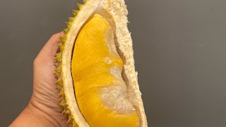 Durian Durihitamnya Johor.