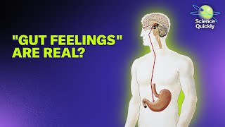 Your Microbiome Could be Affecting Your Moods, Cravings and Mental Health