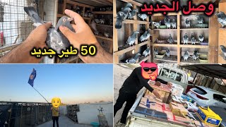 وصلت طيور جديده😍ضربتكم بوري شباب🤣🤣عدد خيالي وصل 😭😭😭😭من سد دوكان للبغداد😏😏😏