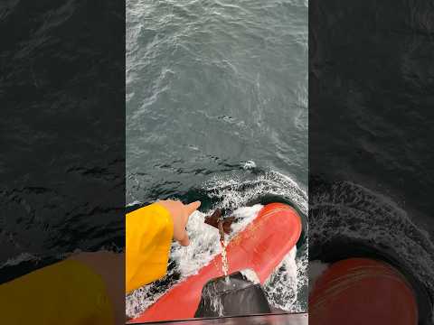 Проникновение через якорь #story#shorts