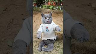 🐰Let This Cute Little Bunny Taste The Sweet Eggs!🥰🥚 #catvideos #catmemes #trending