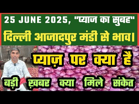 25-06-2025 Azadpur Mandi से प्याज़ का थोक भाव #onionpricetoday #delhimanditoday #dmttv