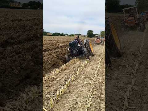 This tractor plows the fields amazingly .#shorts
