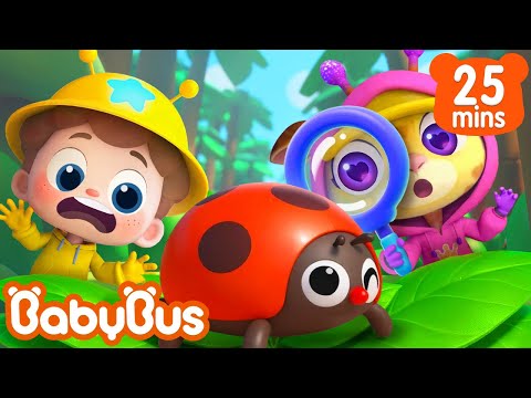 Cuộc chiến chống lại lũ bọ | Tìm hiểu côn trùng | Nhạc thiếu nhi vui nhộn | Yes! Neo | BabyBus