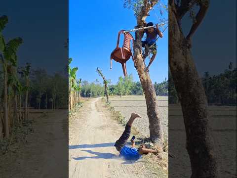 From the tree