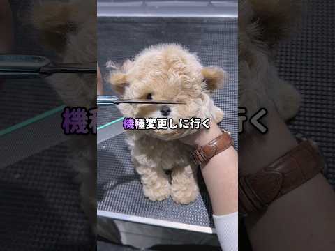 愛の記憶