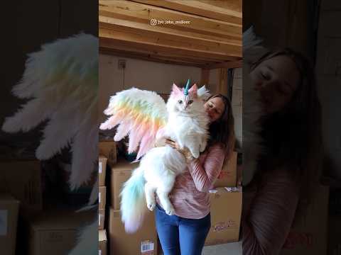 #98 Cute Cat videos 😻😻 #fails #funny #moments #reels