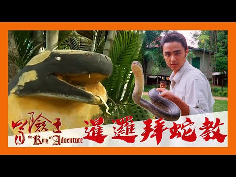 冒險王 EP1｜泰國 暹邏拜蛇教｜捕捉 飼養及靠眼鏡蛇維生 和毒龍共存的神秘村落｜明道｜完整版 20020925