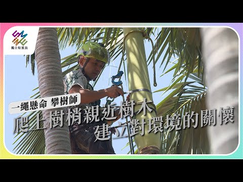 爬上樹梢親近樹木，建立對環境的關懷｜一繩懸命 攀樹師｜公視 #獨立特派員 第803集 20230531 - YouTube