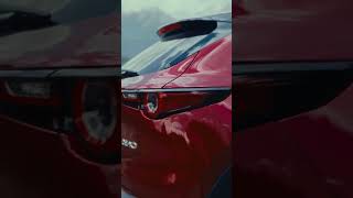 Roadtrip Dolomiten | #shorts