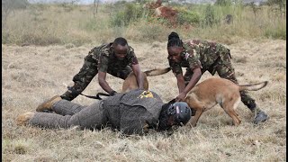 KDF WEEKLY BULLETIN 1ST AUGUST 2025