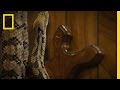 Pastor Andrew's Rattlesnake Experience