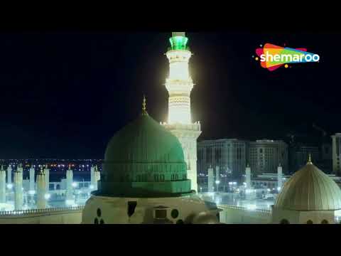 Madine Ka Safar Hai Aur Main Namdeeda Namdeeda - درد بھرا کلام | Qari Ziya Ur Rahman Farooqui