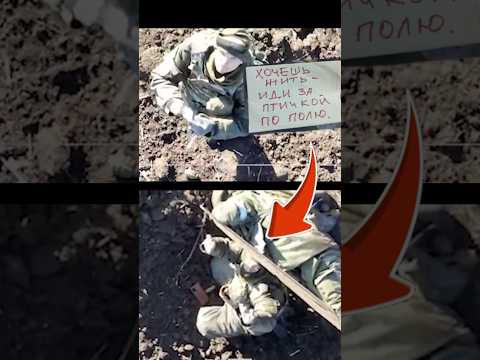 Хочешь жить — следуй за птицей» | Момент выбора