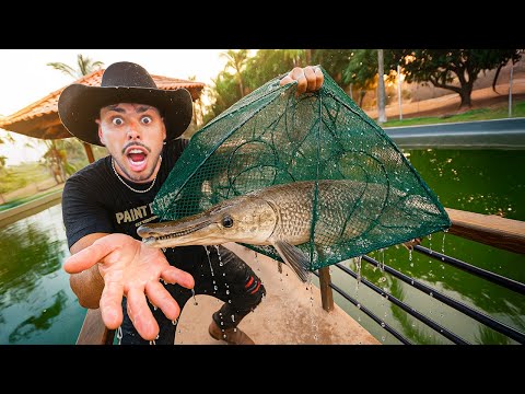 INÉDITO - PEGUEI O PEIXE JACARÉ COM UMA ARMADILHA DE PEIXES !