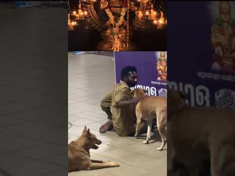 เดฒเตเดเด เด
เดตเดจเต เดญเตเดฐเดพเดจเตเดคเดจเตเดจเตเดจเต เดตเดฟเดณเดฟเดเตเดเตเดจเตเดจเต, เดชเดเตเดทเต เด
เดตเดจเตเดฑเต เดฒเตเดเดคเตเดคเต เดเดฒเตเดฒเดพเดตเดฐเตเด เดฆเตเดตเดคเตเดคเดฟเดจเต เดฎเตเดจเตเดจเดฟเดฒเดพเดฃเต#sabarimala