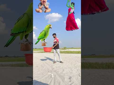 22 oct Flying crying babies Catching vs danching gorilla,, cute bhabhi,, parrot,, good day funny ๐๐