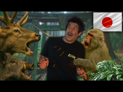 FUI À FLORESTA MAIS PERIGOSA DO JAPÃO