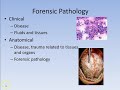 Forensic Pathology and Coroner Systems