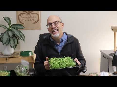 FREE Microgreens and Sprouts Training - October 25 2024 2 pm MT