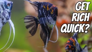 The Right And Wrong Way To Get Rid Of Fish