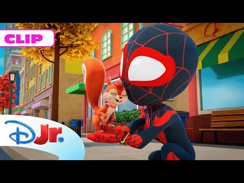 MARVEL SPIDEY Y SU SUPEREQUIPO: Conoce a los nuevos amigos de Spidey 🕷️ | @DisneyJuniorES