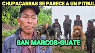 ABUELO DICE QUE EL CHUPACABRAS SE PARECE A UN PITBUL EN SAN MARCOS, GUATEMALA.