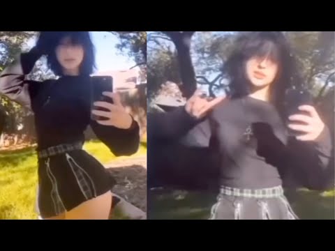 This video is sponsored by goth mommy energy (memes I stole v1 2025)