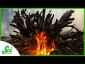 Understanding Zombie Fires and Climate Change