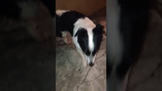 20140920 045115965 iOS