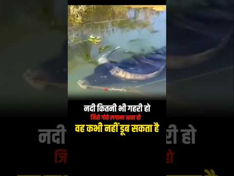 🔥जिसे तैरने आता है वह कभी नहीं डूब सकता💥#motivationalvideo #trendingshorts #viralvideo #facts