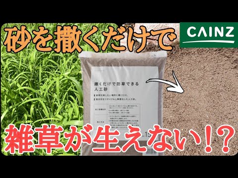 【雑草対策】カインズの撒くだけで防草できる砂は本当に雑草が生えないのか検証してみた