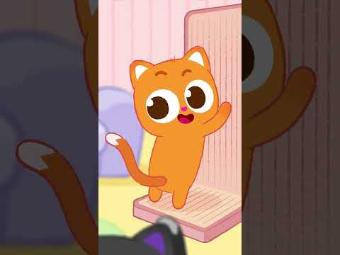 다묘가정 집사 특 🐱 #니니모