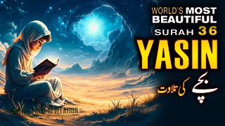 Best Surah Yaseen with Urdu Translation full by Abdullah Shaaban | سورة يس