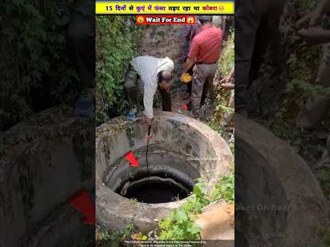 कुएं में फंसे खतरनाक कोबरा 🐍की बचाई जान 😯😱