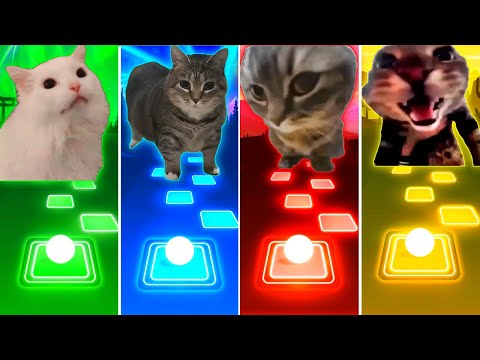 Coffin Dance Cat vs Oiiaoiia Cat vs Chipi Chipi Chapa Chapa Cat vs Doorbell Cat - Tiles Hop EDM Rush