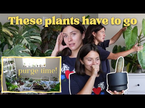 Why is it so hard to let go of plants?? Plant Purge VLOG