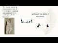 Rock Formation and Types