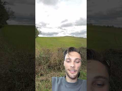 field finding