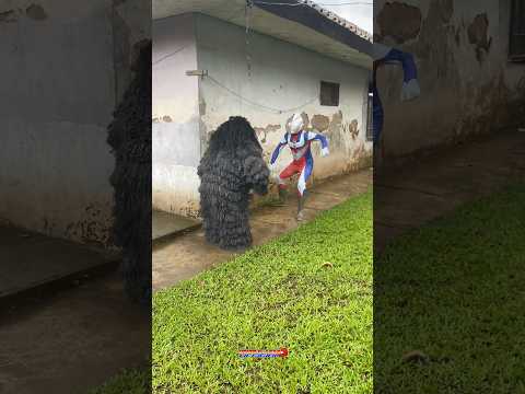 Grandong hadang Ultraman