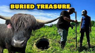 My Bull Accidentally Found Buried Treasures