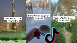 Kingzify TikToks 2022 (TikTok Compilation)
