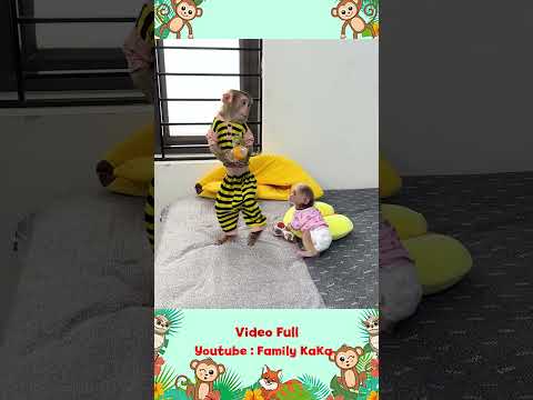 Monkey Hair Red stops Monkey Mit from drinking a lot of milk