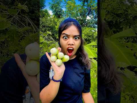 বাগানের অদ্ভুত বেগুন দিয়ে অসাধারণ একটি রেসিপি😍 #ytshorts #minivlog #funny #vlog #food #bengali