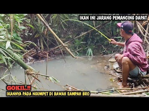 AMAZING.!! MANCING NILEM SEHABIS HUJAN GAK NYANGKA DI BIKIN KAGET IKAN JARANG DI DAPAT PEMANCING