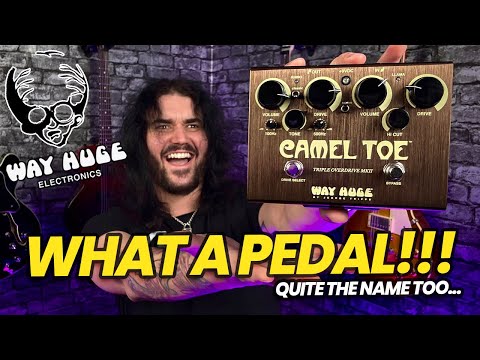 The Way Huge Camel Toe Is A BEAST Of an Overdrive Pedal! - Triple Overdrive, To Be Precise!