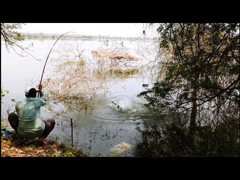 How To ROHU FISHING SPOT,🎣 in Krishna River By SINGLE HOOK