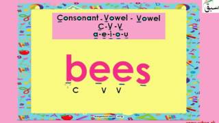 Letter Blends (consonant-vowel-vowel)-bees etc
