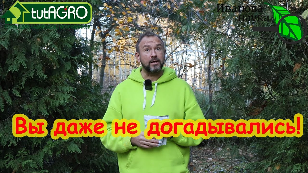 6 вопросов и ответов о триходерме и боверии: они опасны? Закисляют почву? И многое другое.
